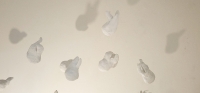 248_1_v11.jpg